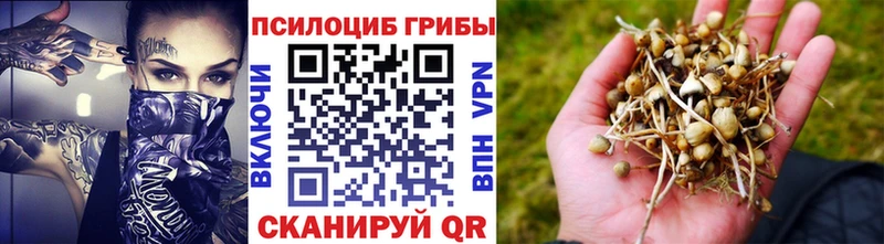 Псилоцибиновые грибы мухоморы  Купить закладки  Тихорецк 